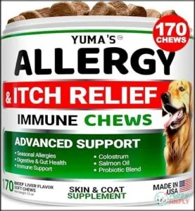 Dog Allergy Relief Chews -
