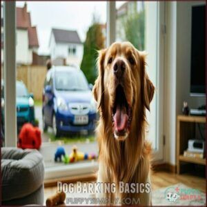 Dog Barking Basics