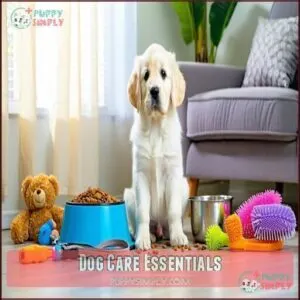 Dog Care Essentials