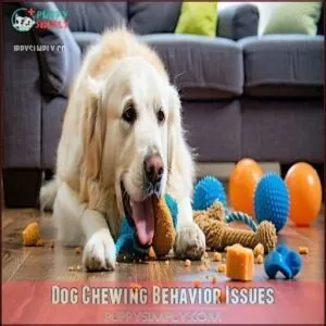 Dog Chewing Behavior Issues