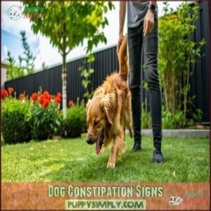 Dog Constipation Signs