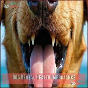 Dog Dental Health Importance