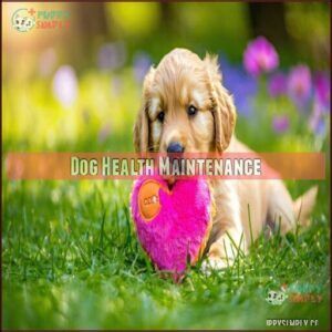 Dog Health Maintenance