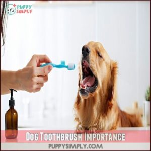 Dog Toothbrush Importance