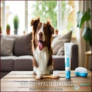 Dog Toothpaste Benefits