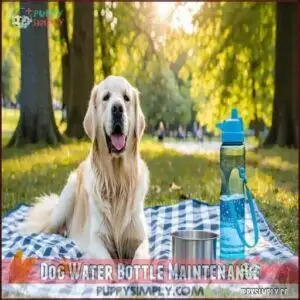 Dog Water Bottle Maintenance