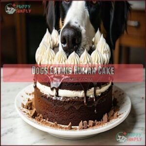 Dogs Eating Human Cake