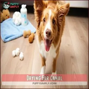 Drying Ear Canal
