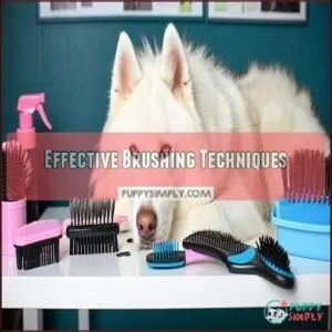 Effective Brushing Techniques