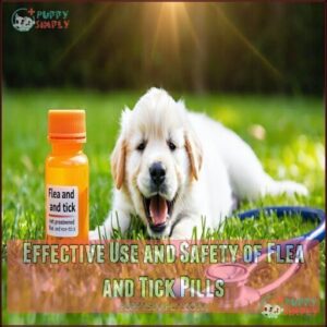 Effective Use and Safety of Flea and Tick Pills