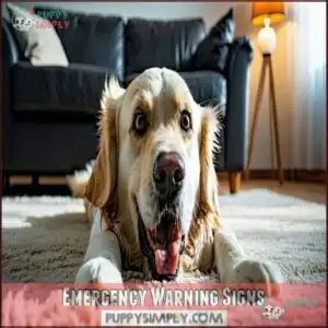 Emergency Warning Signs