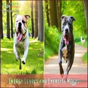 Energy Levels and Exercise Needs