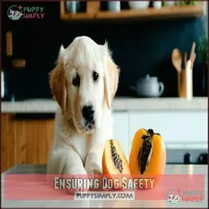 Ensuring Dog Safety