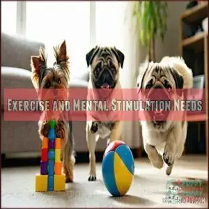 Exercise and Mental Stimulation Needs