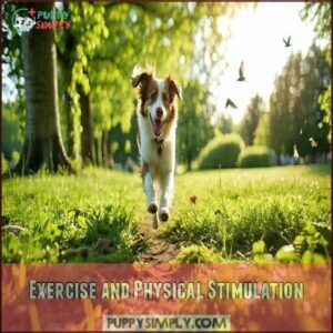 Exercise and Physical Stimulation