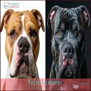 Facial Features