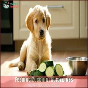 Feeding Zucchini Guidelines