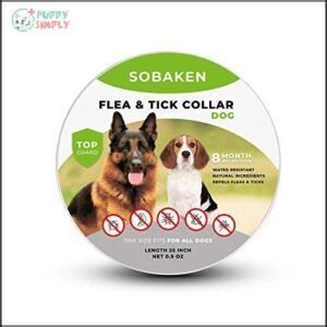 Flea and Tick Prevention for