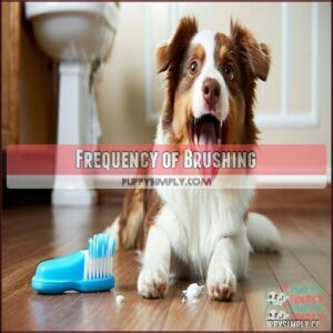 Frequency of Brushing