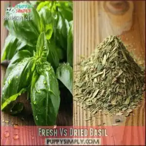 Fresh Vs Dried Basil