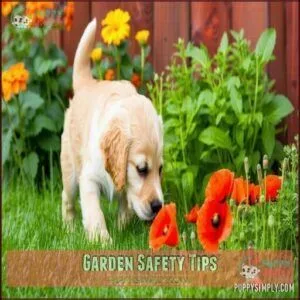 Garden Safety Tips