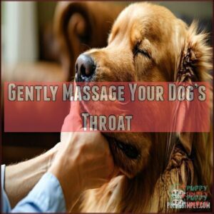 Gently Massage Your Dog’s Throat