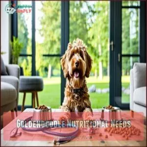 Goldendoodle Nutritional Needs