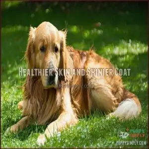 Healthier Skin and Shinier Coat