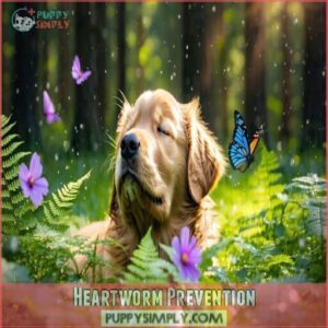 Heartworm Prevention