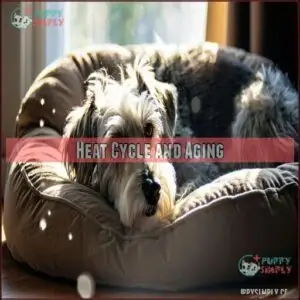 Heat Cycle and Aging