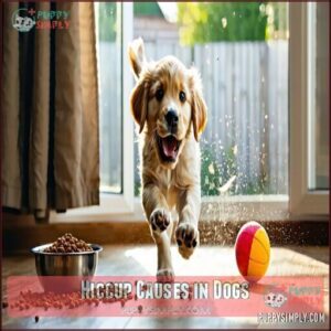 Hiccup Causes in Dogs