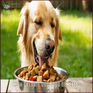 High Calorie Dog Food Benefits