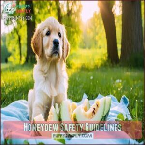 Honeydew Safety Guidelines