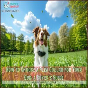 How to Choose a Flea Collar for Your Dog: a Buyer