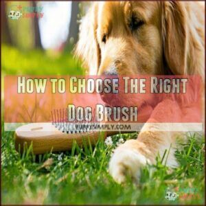 How to Choose The Right Dog Brush