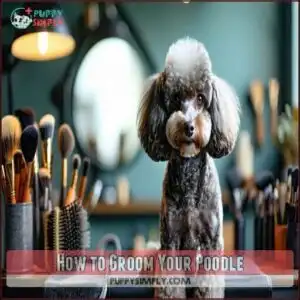 How to Groom Your Poodle
