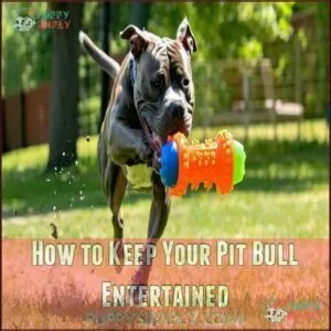 How to Keep Your Pit Bull Entertained How to Keep Your Pit Bull Entertained