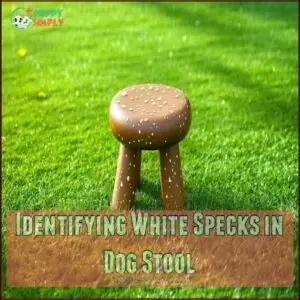 Identifying White Specks in Dog Stool