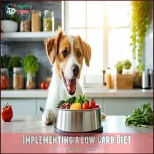 Implementing a Low Carb Diet