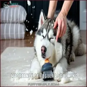 Importance of Regular Grooming