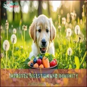 Improved Digestion and Immunity