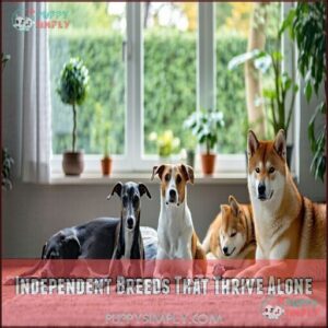 Independent Breeds That Thrive Alone