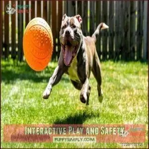 Interactive Play and Safety