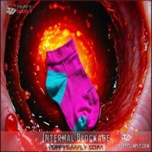 Internal Blockage