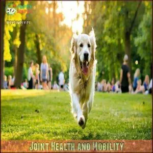Joint Health and Mobility