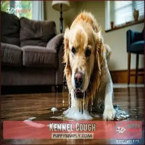 Kennel Cough