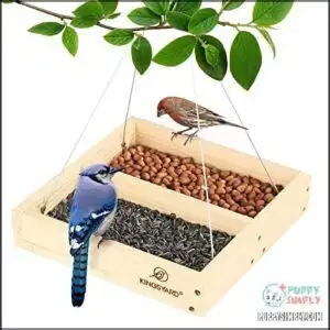 Kingsyard Platform Bird Feeders for