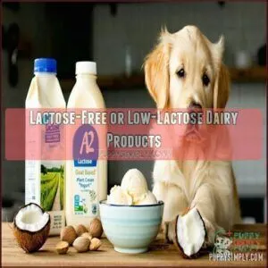 Lactose-Free or Low-Lactose Dairy Products