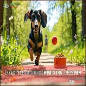 Lifestyle Factors Impacting Lifespan Lifestyle Factors Impacting Lifespan