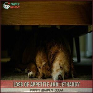 Loss of Appetite and Lethargy